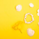 Reddybook Review: How the Innovative Platform Is Transforming Digital Publishing with 11xplay Integration